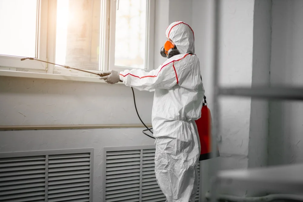 Professional mold remediation services in Celina, TX